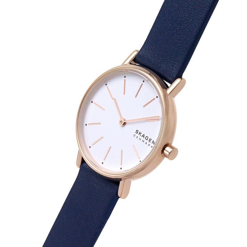 Skagen watch best sale blue face